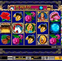 Game Interface